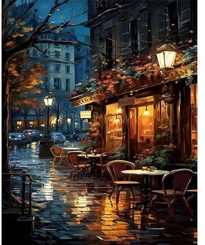 JATOK Malen Nach Zahlen Erwachsene, Paint by Numbers Malen Nach Zahlen, DIY Nachtszene mit Pinseln und Acrylfarben Handgemalt Ölgemälde Leinwand für Home Decor, Ohne Rahmen (40x50cm)