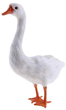 Tubayia Realistische Schwan Gans Gartenfigur Dekofigur für Garten Hof Rasen Ornament Gartendekoration Foto Prop