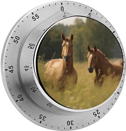 Mechanischer Küchen-Timer, Motiv: Pferd im Gras, Edelstahl, magnetischer Timer mit Alarm, niedlicher Koch-Timer für Zuhause, Backen, Kochen, Ofen