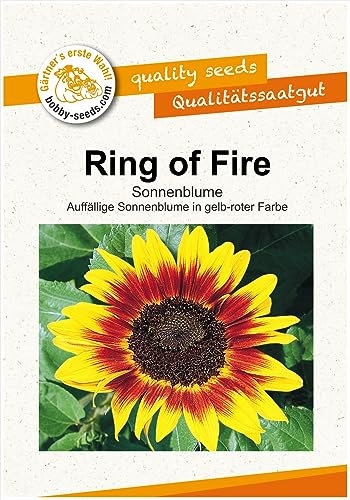 Blumensamen Ring of Fire Sonnenblume Portion