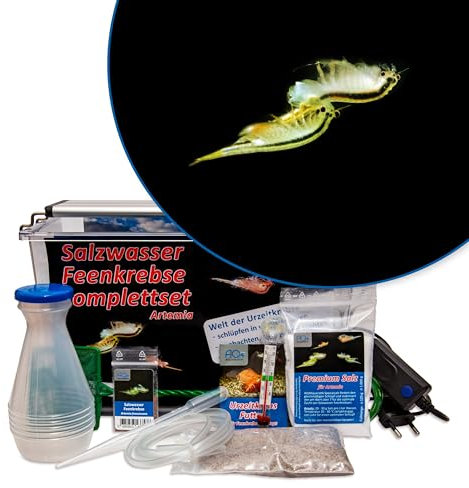 AQ4Aquaristik Premium Salzwasser Feenkrebse Artemia Komplettset 6 Liter: Zuchtansatz, Premiumsalz, Futter, Anleitung- Urzeitkrebse, Artemia cf. persimilis