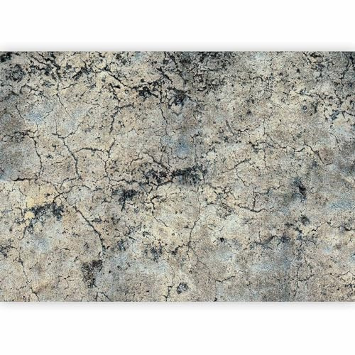 murando Photo Wallpaper 441x315 cm Peel and Stick Self-Adhesive Foil Print | Wall Mural Stone Concrete Wall