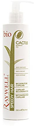 Raywell Cactus Speedy Hair Leave-In Conditioner – Haarkur für schnelles Styling, intensiv pflegend, für alle Haartypen, 250 ml, veganes Haarpflegeprodukt, Hitzeschutz, Feuchtigkeit