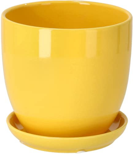 KOTARBAU® Macetero con Plato de Ceramica esmaltada, 20 cm, Maceta para Interiores y Exteriores, Tiesto Decorativo para Plantas, Amarilla con Plato y Orificio de Drenaje