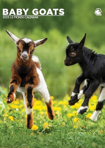 Baby Goats 2025 - A3 Size Wirobound Calendar
