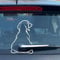 Dog Tail Decals for Windshield and Windows - Tail Wiper Sticker, Car Window Decals