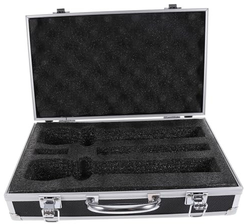 EXQUIMEUBLE Wireless Microphone Storage Organizer Box Durable Hard Case for Two Microphones Practical and Lightweight Microphone Storage for Recording Studio and Karaoke Room