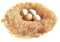 BWOGUE 100 g natürliches Gras Nesting Pads für Hühner, Hühner, Vögel, Nest.