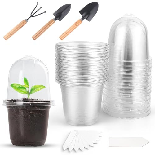 GZLCEU 12 Pcs Pot de Plantation avec Couvercle, 15×9cm Pots de Pépinière Transparents avec 5 Tags 3 Outils de Jardinage pour Graines, Semis et Plantes Succulentes