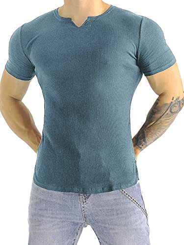 Muhshoiy Men's Slim Fit Muscle Shirt V Neck Sport Short Sleeve T-Shirt Underwear Casual Tee Stretch Solid Athletic Shirts/Blue/L