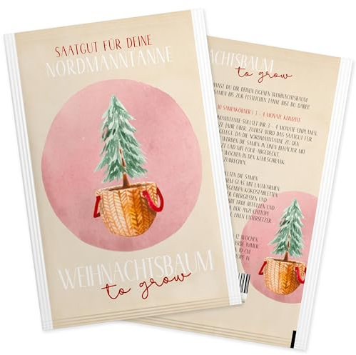 Nordmanntanne zum Pflanzen - Weihnachtsbaum Samen für dein Christbaum 2029 - Tannensamen als Adventskalender Füllung, Kleinigkeit zu Weihnachten oder Wichtelgeschenk für Frauen und Männer