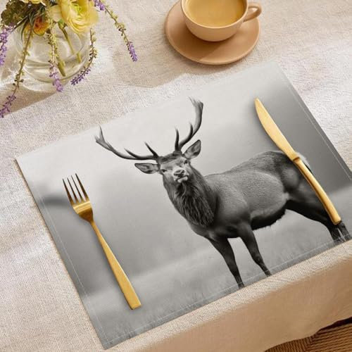 Hirsch Tischsets 6er Set, Schwarz Weiß Foto Platzsets Waschbar Platzdeckchen für Küche Tisch Dekoration Drinnen Urlaub Party Heimdekoration 30x45cm