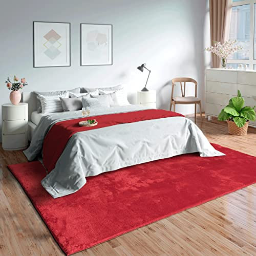 Mia's Teppiche Olivia Wohnzimmer/Schlafzimmer Teppich - waschbar - 120x160 cm, Rot
