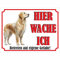 INDIGOS UG - Golden Retriever - Schild bedruckt - Hier wache ich - Aluverbundplatte weiß - ab 20x15 cm - Spruch - Deko Geschenkidee für Ihren Hund - Zaun - Türschild