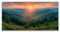 JOSUE Bilder Xxl Wald Wald Sonnenuntergang Bilder Kinderzimmer Leinwand,Grün, Gold Bilder Wohnzimmer Schlafzimmer Wandbilder Wanddekoration-80x160cm Ungerahmt