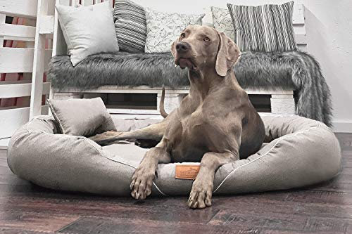 tierlando® Orthopädisches Hundebett Tiffany Couture | Große Hunde XL XXL | Elegant | Waschbar Memory Foam | Meliertes Hundesofa XXL | Creme