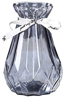 CIEEIN CIEHT Glas Vase Blumenvase Vasen Home Office Dekoration und Veranstaltungen Grau 15cm