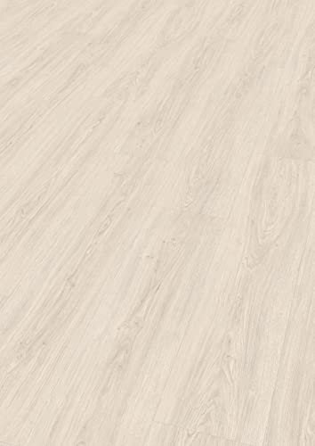 Egger Laminatboden Aqua Clic It EL1008 Victoria Eiche Weiss (8mm, 2,542m²) | authentische Holzoptik | | Einfache Verlegung durch Klicksystem | Praktisch & wertbeständig