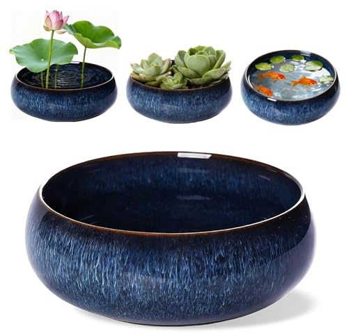 Bonsai Schale，Pflanze Keramik Blumenschale,Teezubehör Bonsai schale KeramikTopf Flache Glasierte Vase 16.5*6.5cm(Blau)