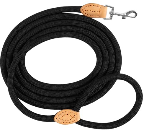 LeileiPaws Tauleine Hund – Nylon Hundeleine für kleine, mittelgroße & große Hunde – hundeleine leicht mit Schlaufe für kleinere Hunde, robuste Hundeleine große Hunde (Schwarz, 2m x 1.2cm)