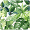 HAOKHOME Tropical Wallpaper Self Adhesive Palm Leaves Removable Stick on Home Decor 3m x 44.5cm
