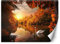 Feeby Vlies Fototapete Wald Bäume Herbst Sonnenuntergang 200x140 cm Orange Tapeten Wandekoration Wohnzimmer Schlafzimmer Büro Flur See Natur Schwan