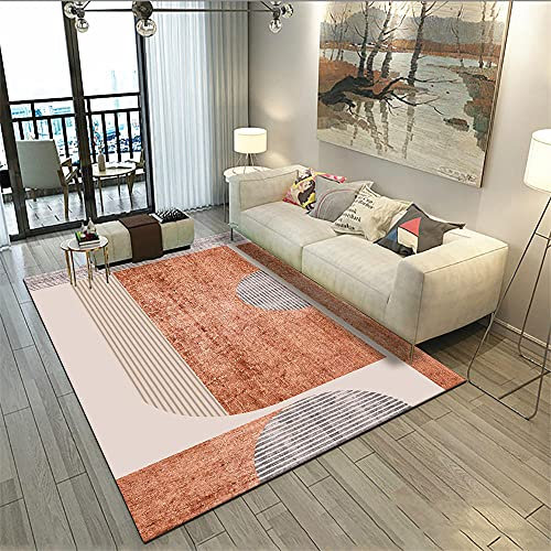 RUGMRZ Le Tapis du Salon Lavable en Machine Tapis Salon Doux Orange Rose Moderne Simple Design Graphique Petit Tapis 160X200cm