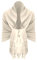 Van Der Rich ® - Eleganter einfarbiger Schal aus Wolle mit Fransen Warm und weich - Damen (Uni Beige Creme)
