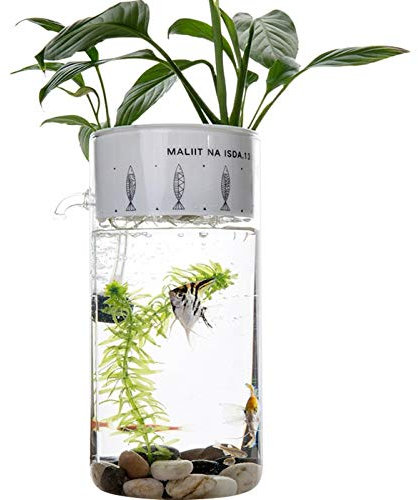 MUMUCW Kreative Aquarium kleine selbstreinigende ökologische Büro Desktop Mini Glas 2L 360 ° Aquarium mit Power Filter