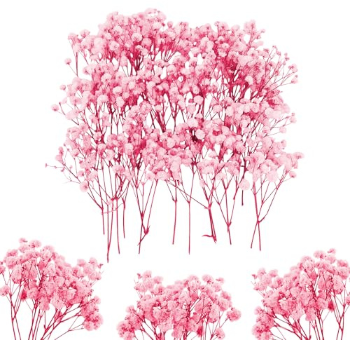 ForestM 100PCS Dried Pressed Flowers, Natural Baby Breath Dried Gypsophila Mini Breath Flowers, Real Natural Gypsophila for Vase, Crafts and Resin Art, Boxed Dry Flowers for DIY, Wedding Cards