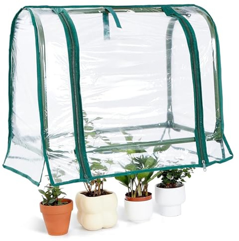 Ameble Mini-Gewächshaus für den Innenbereich, transparentes Tischgewächshaus mit Reißverschluss-Kunststoff-Feuchtigkeitskuppel, kleine Pflanze für Samenstart, Keimung und Gartenarbeit im Innenbereich
