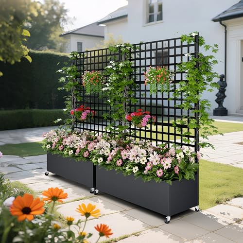 Hochbeet mit Sichtschutz 33cm tief | Metall Pflanzkasten mit Rankgitter & Rollen, wetterfest rostfrei, freistehend für Blumen, Kletterpflanzen, Tomaten, Garten Balkon Terrasse Privatsphäre(2 Stücke)