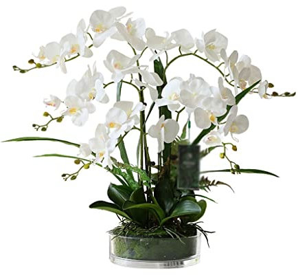QQWW Fiori di Orchidea di tarme di Seta Artificiale in Vaso di Vetro Trasparente Vaso arrangiamenti di Fiori Naturali Bella phalaenopsis Fiore essiccato (Color : White)