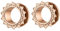 Homxi 2er Set 12 mm Flesh Tunnel,Ohr Tunnel Set Edelstahl 1/2 inch Ohrringe Plugs Herren mit Blume Plugs Ohrringe Set Rosegold