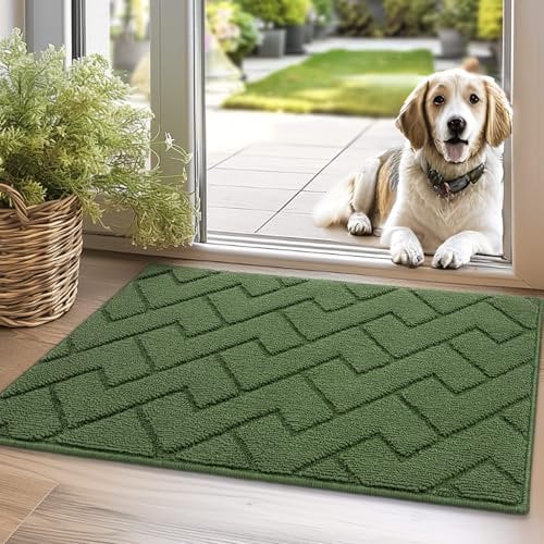 Biscpro Fußmatte Grün 50x80cm Innen Außen Waschbar eingangsteppich innen Schmutzfangmatte rutschfest,Türmatte Innen Teppich für Eingang, Patio, Flur, Garten