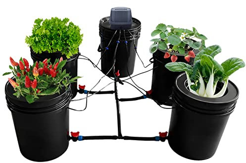 DRFGHK Hydrokultur-Anbausystem-Set mit 5 Eimern, 5 Gallonen automatisches Bewässerungssystem, Tiefenwasserkultur, Umlauf-Tropfgartensystem mit Reservoir-Set für Zimmerpflanzen, Zuchtzelte