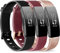 Vancle 3er-Set: Silikon-Sport-Ersatzarmband für Fitbit Inspire Gen 2 ARMs evaluating if 1 - sport wristbands - Schwarz/Gold/Dunkelrot - S