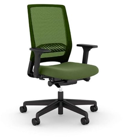 Viasit Kickster ergonomischer Bürodrehstuhl Schreibtischstuhl mit Armlehnen und Lumbalstütze für Homeoffice und Büro 5 Jahre Garantie (Grün)