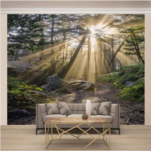 Papier Peint Panoramique Trompe l'oeil 3d Chambre Adulte Enfants Art Papier Peint Intissé Mural Moderne Toison Salon Chambre à Coucherr Salle L 200cm x 140cm (Largeur x Hauteur) Forêt Ensoleillée