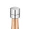 ELMWAY Champagne Stopper – Reusable Bottle Stopper with Stainless Steel Shell for Fizz, Prosecco & Cava – Sparkling Wine Stopper to Preserve Bubbles & Freshness (Silver)