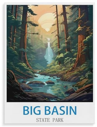 Jigsaw Puzzles 1000 Pieces Paper Assembling Picture，Big Basin State Park，Adults Games Educational Toys（50x70cm）-W36