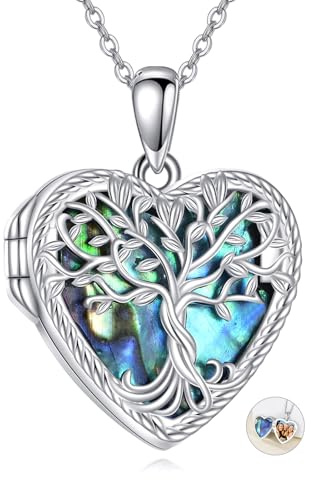 POPLYKE Photo Medallion Necklace Heart Shaped Custom Photo Pendant for Women Personalized for Engraved Image Medallion Necklace