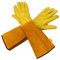 Woodside Leather Gauntlet Gardening Gloves, Heavy Duty Thorn Proof Cowhide Glove Sleeves for Men & Women- Medium