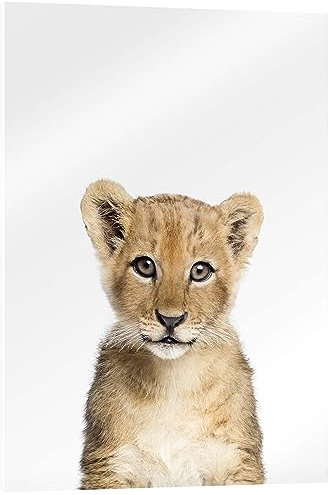 Posterlounge Bébé lion Tableau en verre acrylique de Sisi And Seb 70 x 90 cm Tableaux Décoration murale