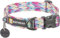 RUFFWEAR Front Range Hundehalsband für kleine Hunde, bequem und stabil mit seitlicher Schnalle und Gurtband zum Gassigehen mit dem Hund, Größe S (28–36 cm), Rifffisch