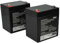 vhbw 2X Batterie Compatible avec APC BF350-GR, BE 500, DLA2200RMI2U, BF500-GR, FG20451, RBC29, RBC20 Fortress I LI 360VA ASI (4500mAh, 12V, AGM)