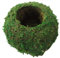 Cunlvyyds Moss Ball, Plantador Natural de 6 Pulgadas Bonsai Moss Kokedama Flower Pot de bonsái Bonsai Soportista para plantación de jardinería de Bricolaje Decoración de la Mesa del hogar, Kokedama