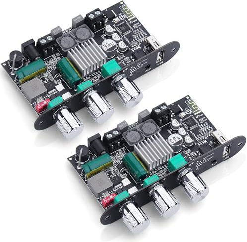 2 PCS ZK-1001U HiFi Verstärker mit Bluetooth 5.3 100W Mono Audioverstärker | für Heim/im Freien Stereoanlage Stereo Audioverstärker Modul mit TB/USB/AUX-Eingang, DC 9-24V Verstärkerschaltung