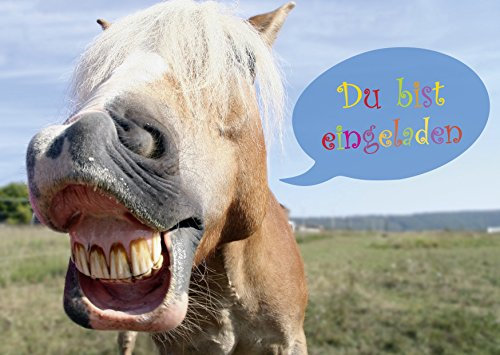 12 lustige Pferde-Einladungskarten (Set 2) / Geburtstagseinladungen Kinder Mädchen Jungen zum Kindergeburtstag - Einladungen zum Geburtstag von EDITION COLIBRI (10779)