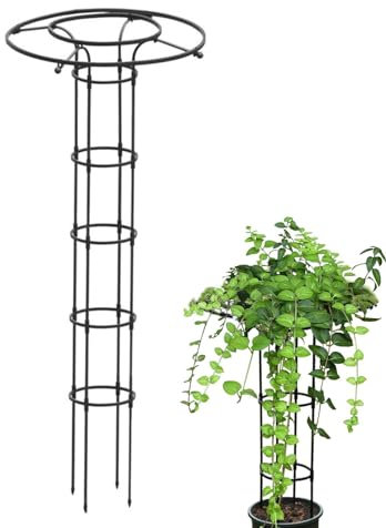 Schirm-Pflanzen-Rankgitter, hohe Pflanzenstütze, Metallschirm-Rankgitter, Garten-Rankhilfe für Kletterpflanzen im Freien, stabiles aufrechtes Gartenspalier für Haus, Outdoor, Garten